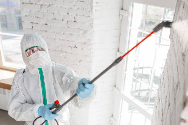 Why You Should Choose Our Mold Remediation Services in Stanberry, MO